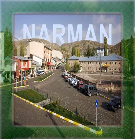 Narman Web Tasarım