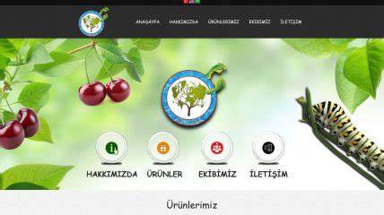 İZMİR SELÇUK Web Tasarım