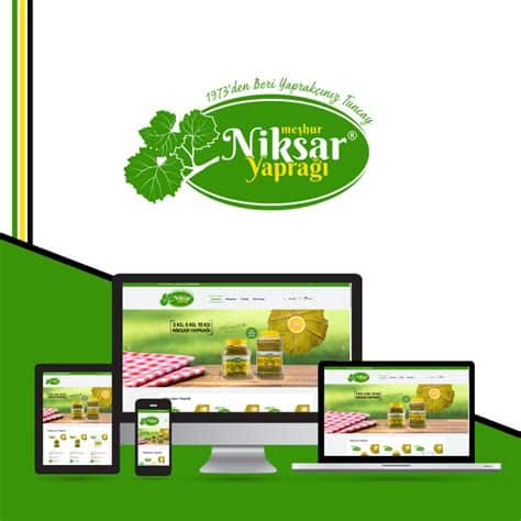 Tokat Niksar Web Tasarım