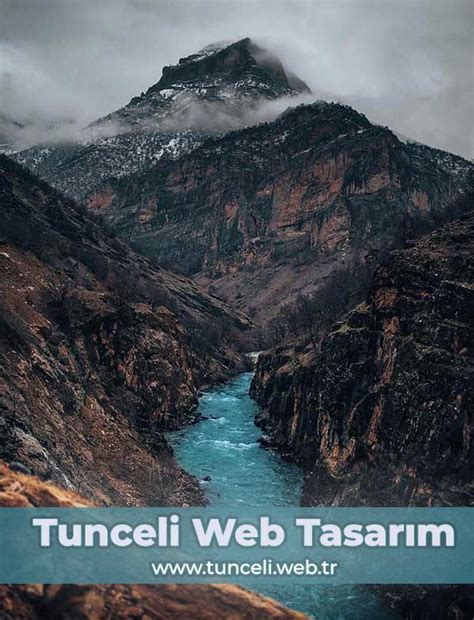 Tunceli Nazımiye Web Tasarım